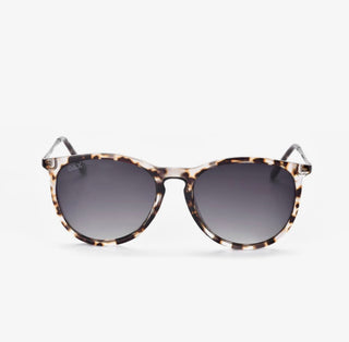 Dax Midnight Polarized Sunglasses